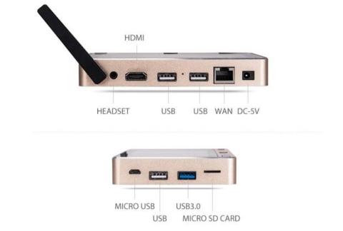 ※GOLEホームページより引用