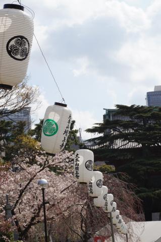 1/125(sec)、F14、50mm、ISO 100