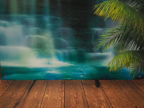 室内光(右側窓から障子を通して自然光有)のみ