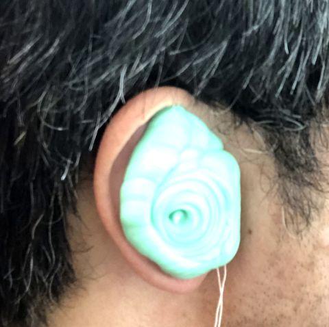 採取途中はこんな感じね