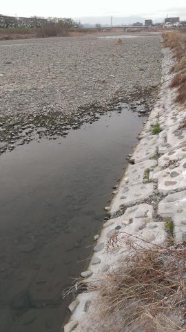 川沿いを往復、計1時間ほど