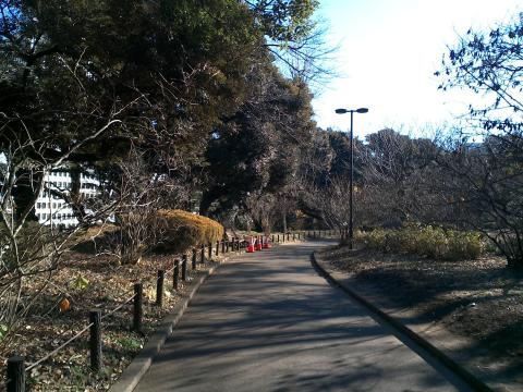 背面カメラで撮影した写真2