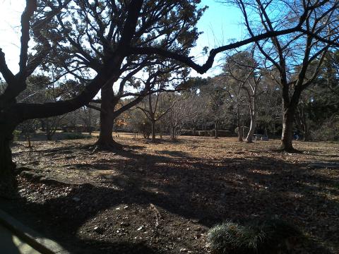 背面カメラで撮影した写真1
