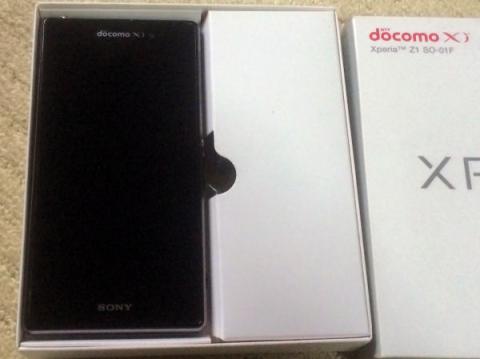 ▲箱の中身も装飾無し。少しは演出があった方がハイエンド機らしいが…