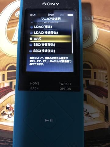 ▲マニュアル設定時は自分でコーデックを選択可能