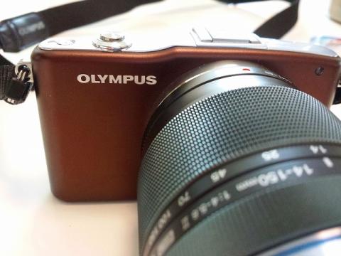 シンプルなデザイン