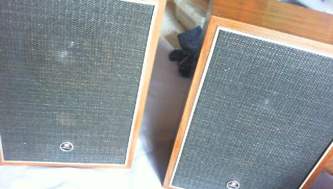 ネットは日焼けやほつれ等無く綺麗