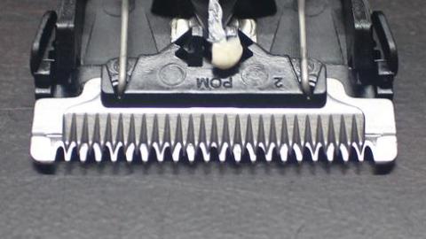 自動研磨式の刃