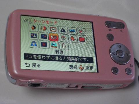 Panasonic LUMIX DMC-S1(シーンモード)