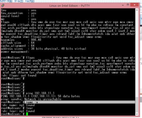uname -a とclearを打ってみたの図。