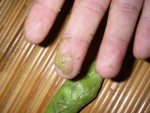 末期まで来るとスライムがネバネバしてくるので要注意です。