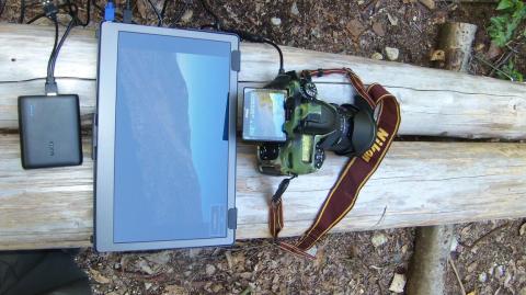 木陰ならカメラの画像を確認可能