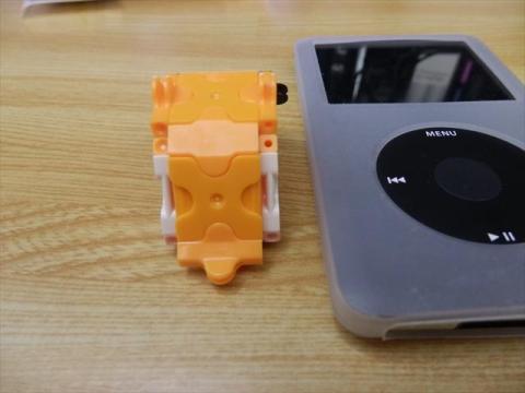 しっぽですよ、しっぽ!可愛い!