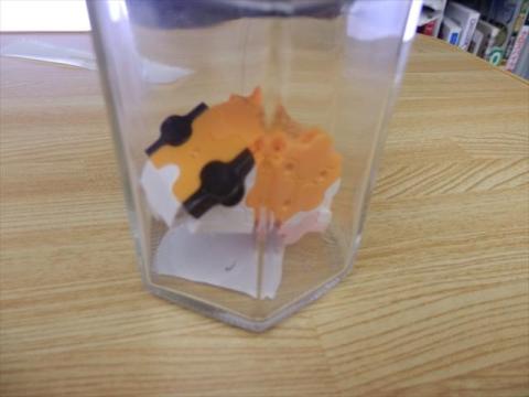 前足(?)を上げるアングルの為、瓶詰化