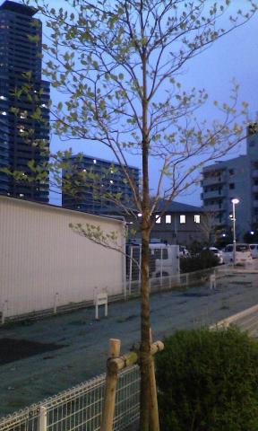 明るい場所なら割と綺麗に