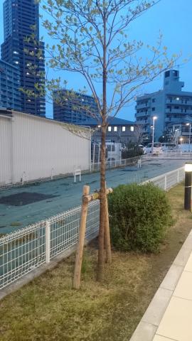 やっぱり フラグシップモデルとは雲泥の差