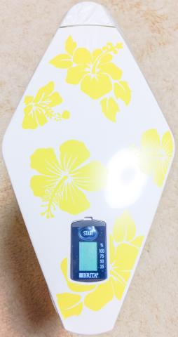 ハイビスカスのプリントが。んー、ハワイアン?