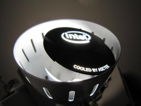 白いのがあればいいなぁ