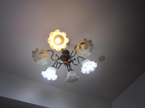 白い光のものが今回の製品です