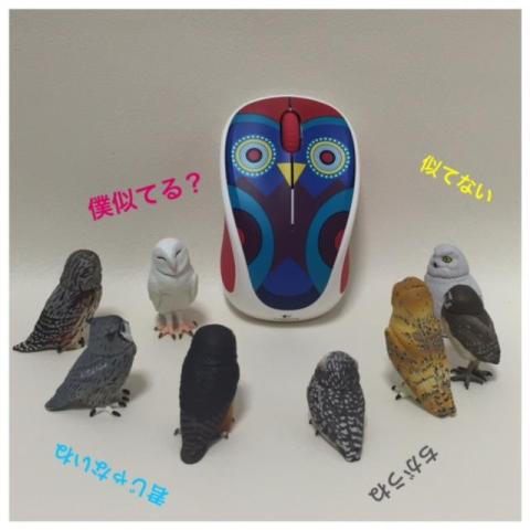 さて、誰が一番にてるかな?