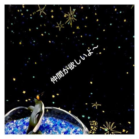 星空を背景に叫んで見ました