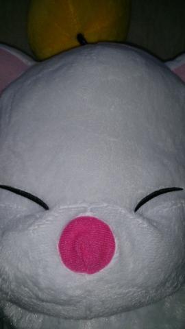 顔アップ・・・クポ!