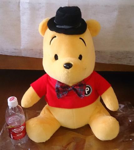 袋から出したところ