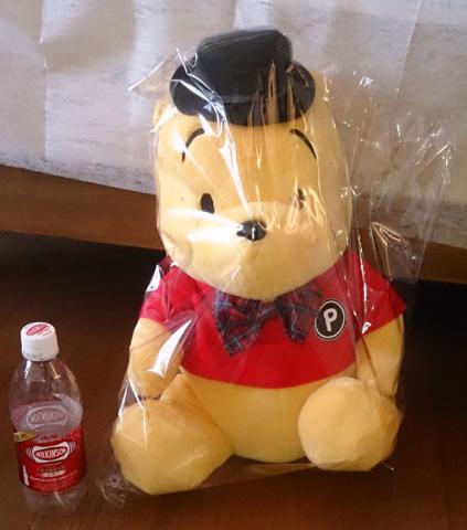 袋の中・・・500mlのペットボトルが小さく見える