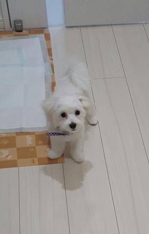 私のトイレを巻き込まないで!