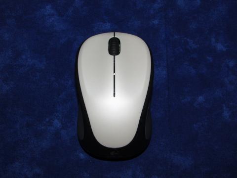 手になじむ大きさ