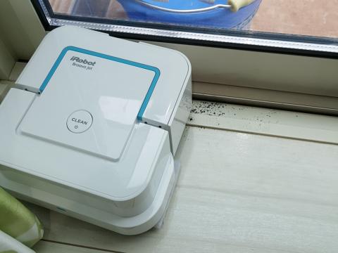 掃き出し窓で脱出不能となった模様・・・なにやら黒いゴミが