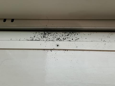 大量のゴムのかすと拭き取ったハズのゴミが落ちている