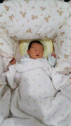 「このベッド寝心地が良いなぁ」