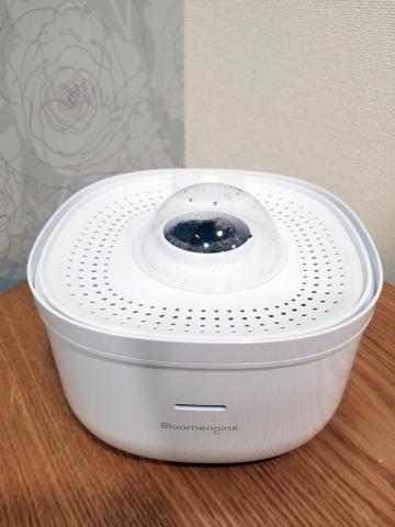 lidと言う透明カバーを置く