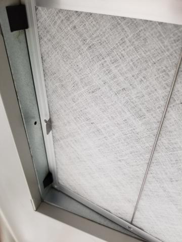 横から見たところ