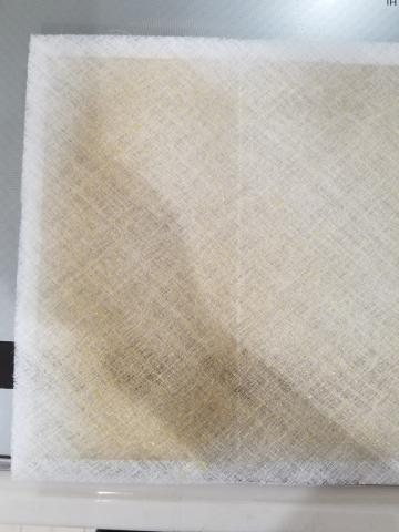 フォルターを外してその差が歴然