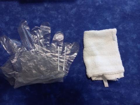 準備は、手袋、綿棒、雑巾など