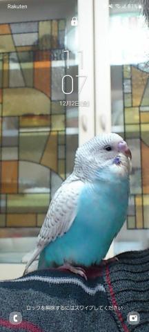 左上にRakutenの文字