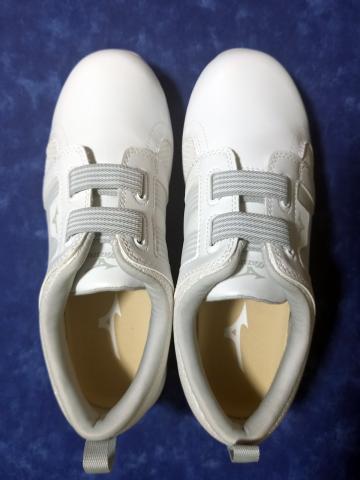 ワークシューズとしては形がしっかりしている