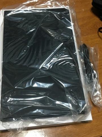 中身は本体とUSBケーブルだ