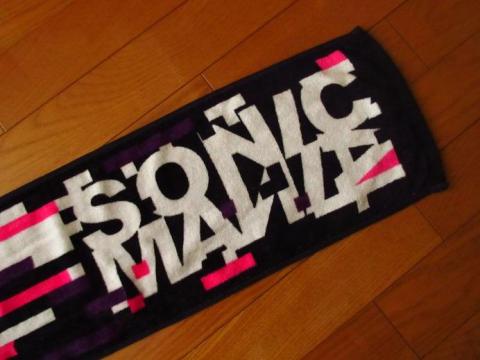 SONIC MANIA のロゴが入る