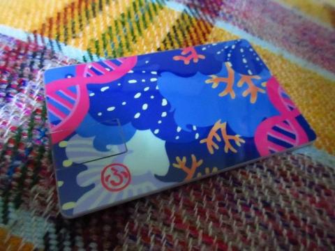 カード型の USB フラッシュドライブ