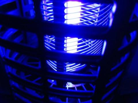 この明りに誘われて電撃を食らっちゃいます