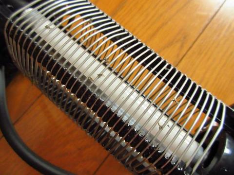 この空間にこんなに虫がいるのってびっくりさせられます