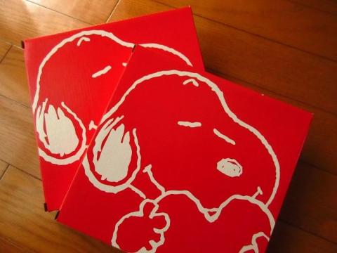 ガラスプレートが入っているパッケージ