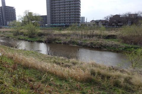 広角端(25mm相当)