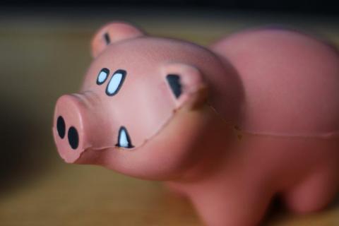 最短撮影距離で・・・(1)