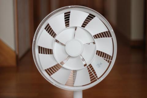 2重構造で独特な形状の羽根