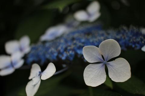 寄れるから、こんなのは得意