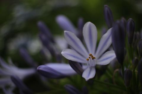 なかなか良い描写